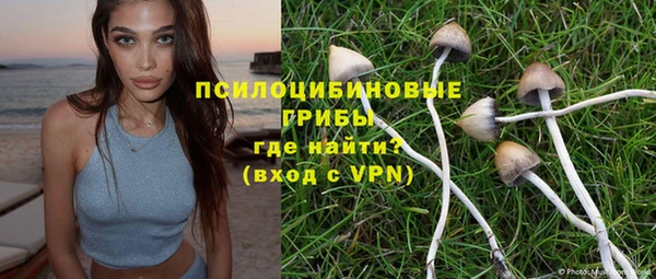 гидра Горно-Алтайск