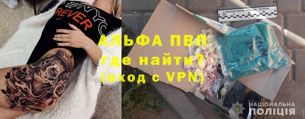 стаф Горняк
