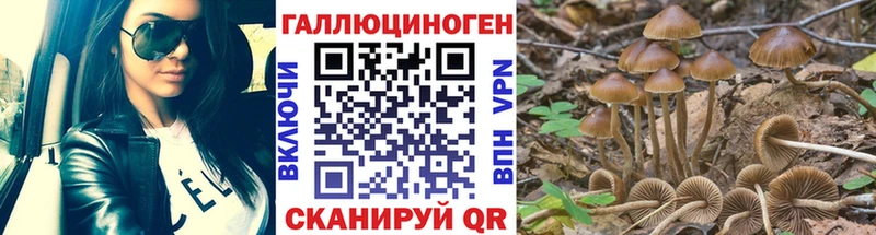 Псилоцибиновые грибы Cubensis  Купить  Можайск 